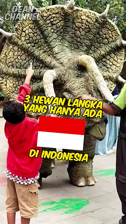 3 Hewan Langka yang Cuma ada di indonesia (nomer 3 bikin kita sedih) #shorts