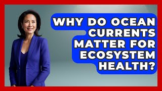 Why Do Ocean Currents Matter For Ecosystem Health? - The Everyday Why