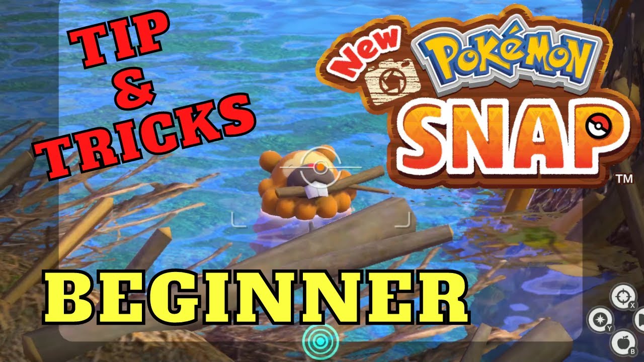 New Pokemon Snap Tips And Tricks For Beginners. Quick Early Game Strategies  And Guide - YouTube