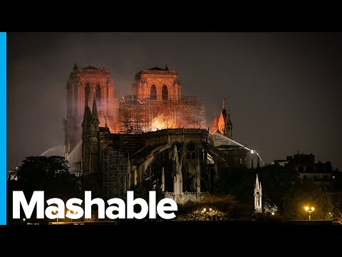 วีดีโอ: 16 โครงการสำหรับ Notre Dame