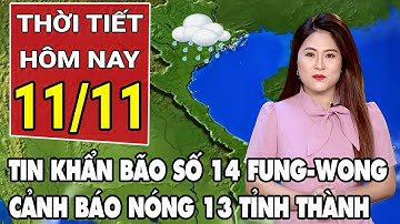 Dự báo thời tiết 11/11: Cảnh báo vùng nguy hiểm bão số 14 Fung-wong, 13 tỉnh khẩn cấp ứng phó