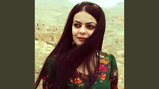 Baran Barî