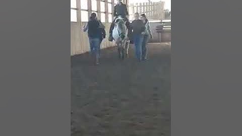 HSP, Horseback Riding day 1, video 2 (Me trotting for the first time ever.)