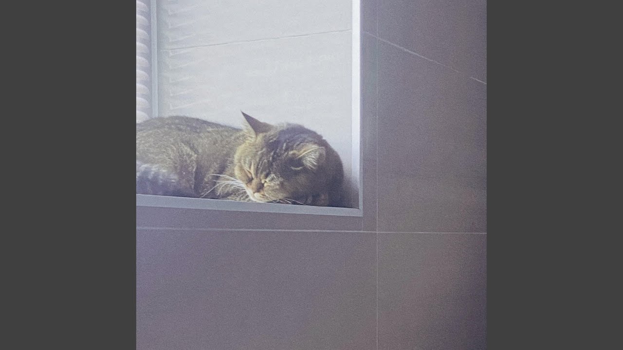 Watch notes on seashells on YouTube Watch notes on seashells on YouTube