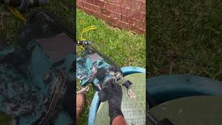 Grinder Pump Clogged