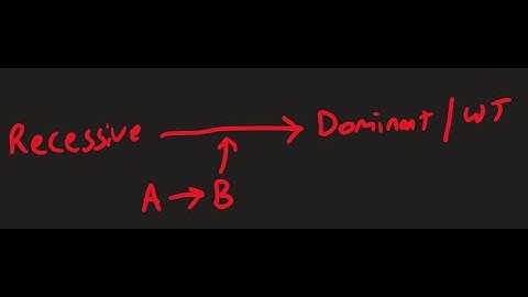 Genetics for Dummies:Chapter 4:Complementation