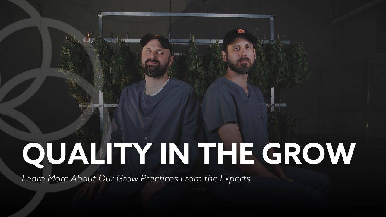 How We Determine Quality in Our Grow