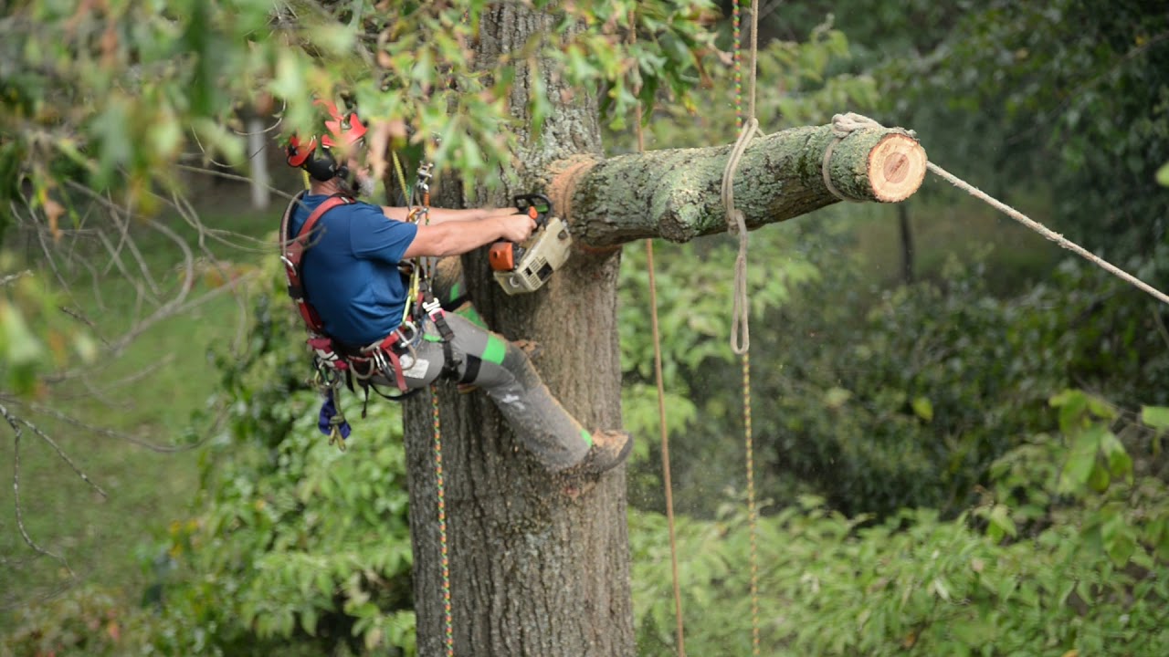 NOTCH Armorflex Chainsaw Protective Pants YouTube