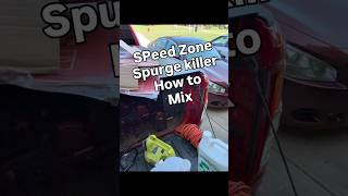 How to kill Spurge in the lawn with Speed Zone Southern @BYDonBermudaGrassCentral
