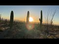 A beautiful sunset walk in the Arizona Sonoran Desert