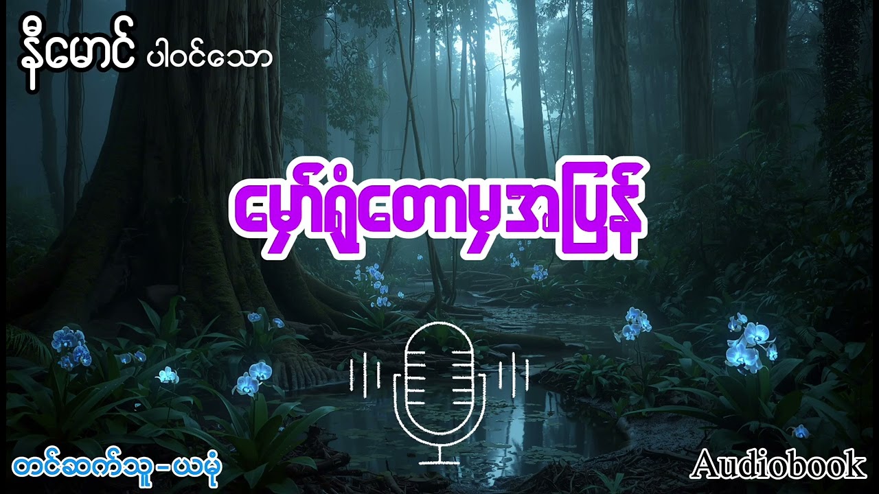 နီမောင်ပါဝင်သော မှော်ရုံတော်မှ အပြန်