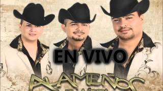 Download Lagu EZEQUIEL CORONADO - Alameños De La Sierra En 2016 (Inedito) Download Lagu EZEQUIEL CORONADO - Alameños De La Sierra En 2016 (Inedito)