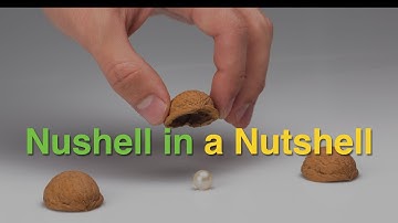 Nushell in a Nutshell