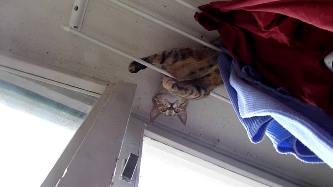 Монтажники-высотники - YouTube