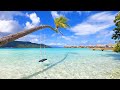 Island paradise 3 hours of french polynesia ambience from relaxing tahaa