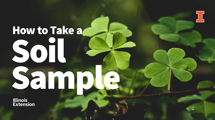 How to Take a #Soil Sample in Your Lawn, Garden, or Landscape