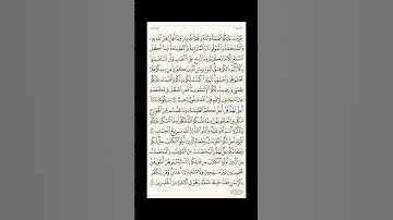 "الورد اليومي: 4 صفحات (105-106-107-108) لتجنب هجر القرآن | تذكير يومي مستمر #قرآن #تلاوة"