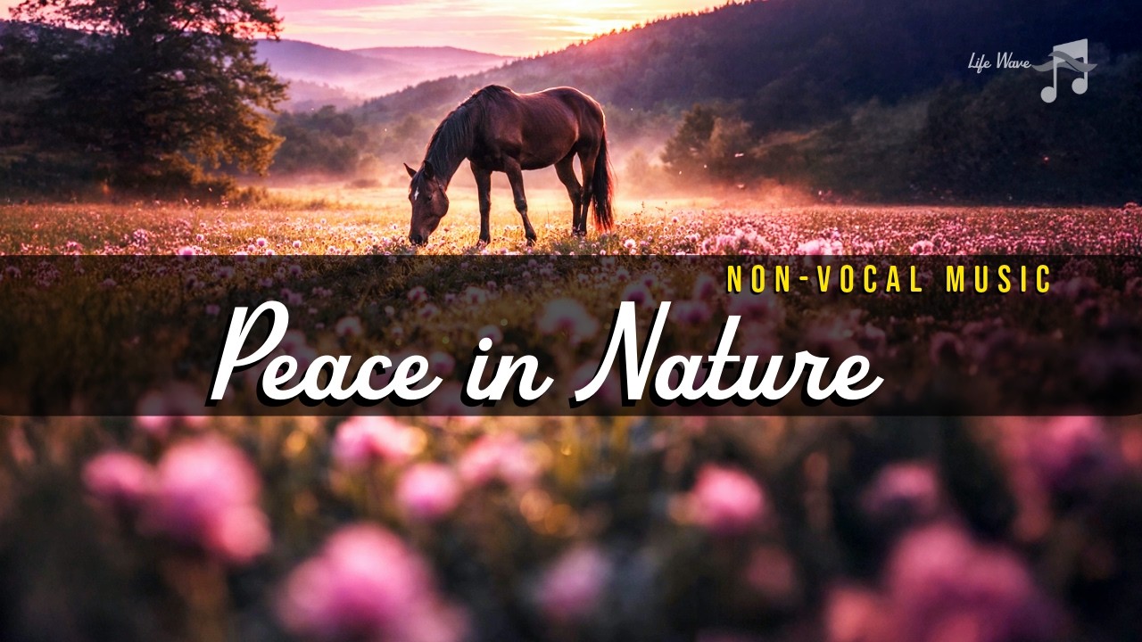 Peace in Nature 🌲 1 Hour Calm Piano for Stress Relief (No Vocals)