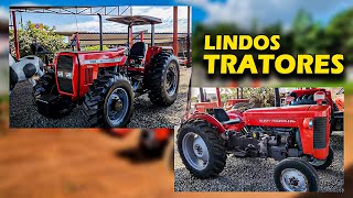 TRATORES E ÍMPLEMENTOS AGRICOLAS A VENDA