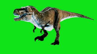 T-Rex - Tyrannosaurus Dinosaur - Green Screen