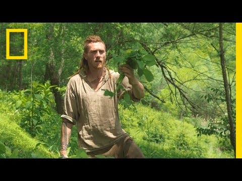 Protecting Yourself From Poison Ivy | Live Free or Die: How to Homestead