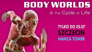 Anatomiczna wystawa BODY WORLDS - Fascynująca podróż po ludzkim ciele!