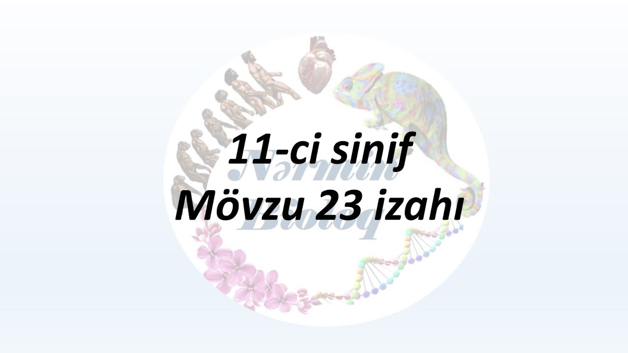Biologiya 11-ci sinif. Mövzu 23 izahı. Bionika və Biotexnologiya.#abituriyent #biologiya#abituriyent