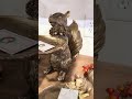 Raz 12.5" Squirrel Server Fall Home Decoration 4612221