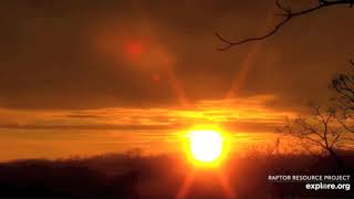 Decorah North Bald Eagles - Amazing Sunrise and Tiny Hanging Nest. 22 Dec 2020 screenshot 5