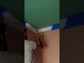 Room painting .bardar marking paint #shorts #viralvideo #painting #workout