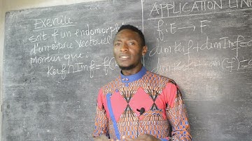 applications linéaires: Noyau et Image(cours et exercice)