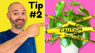 5 Beginner Houseplant Tips I Wish I Knew Earlier