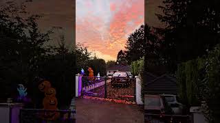 Beautiful Frankfurt Nidda Naturewalk4