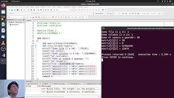 Arreglo Bidimensional (2 Dimensiones, Matriz); en C Estructurado