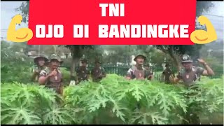 TNI Ojo di Bandingke