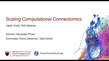 Scaling Computational Connectomics - Jakob Troidl - PhD Defense