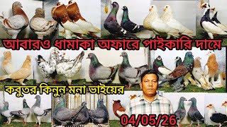 মনা ভাইয়ের আবারো ধামাকা অফারে কবুতর কিনুন  পাইকারি দামে। 