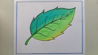 A Leaf Drawing Easy।How To Draw A Realistic Leaf।How To Draw A Leaf Step By Step।Easy Leaf Drawing