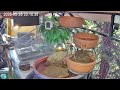 Entspannter Abend am Vogel-Spa (26.05.2026)