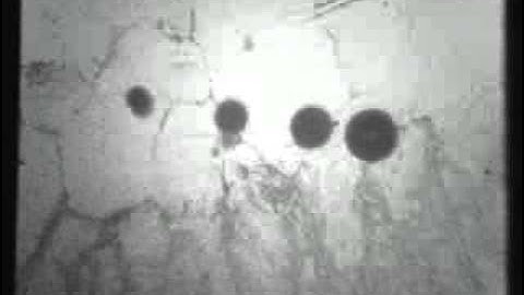 The Role of Hydrogen in the Welding of Steel