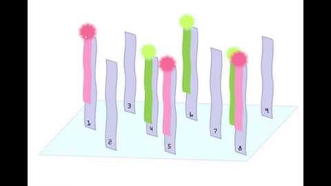 Functional Genomics Part 1