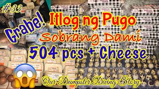 Dumpster Diving #33: Grabe! Mga Itlog ng Pugo Sobrang Dami (Massive Quail Egg) at mga Cheese?!