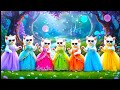🥰बिल्ली डांस | CutestCat  🤣💃videosfunnydanceDance Videos for cats#funny#dancingcat #