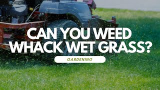 Can You Weed Whack Wet Grass