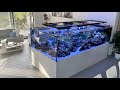 GERMAN REEF TANKS - 4000 Liter / 890 gallon exclusive reef tank tour #meerwasseraquarium #aquarium