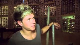 One direction - 1D Day Niall ZAPPAR PART 2/2