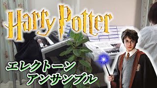 【 アンサンブル 】ハリーポッターと賢者の石メドレー  [中級～上級] Harry Potter And The Sorcerer’s Stone Ensemble (2021.01.24)