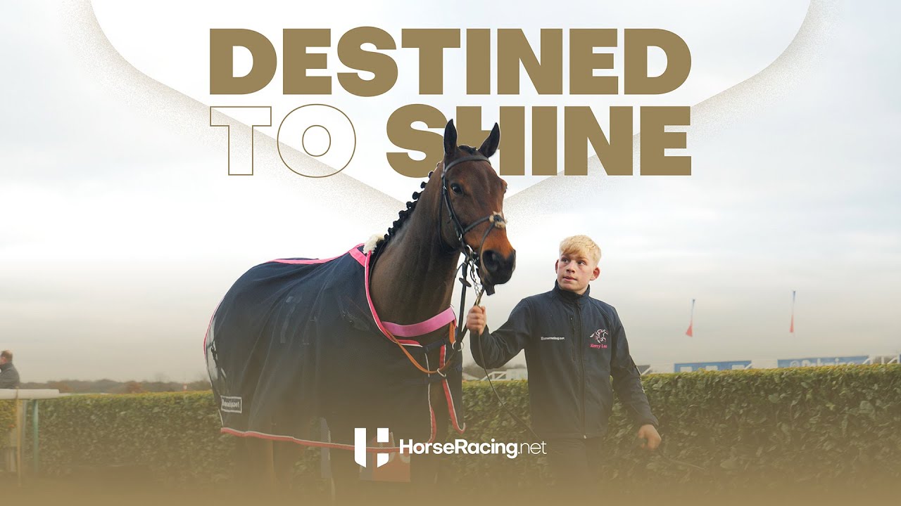 Owning A Racehorse What's It Like To Own A Racehorse? Jumps Trainer