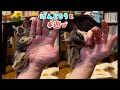 【とにかく手から離れたくないぱんじろうの遊び方】Bushbaby Plum's Growth Diary ショウガラゴ プラムの成長日記