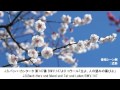 卒業式に使われるクラシック名曲集・Graduation Ceremony Classical Music Collection(長時間作業用BGM)